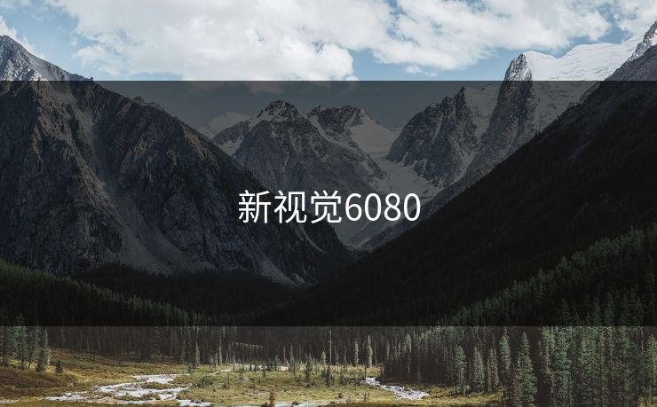 新视觉6080