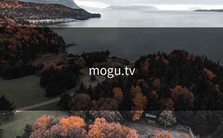 mogu.tv