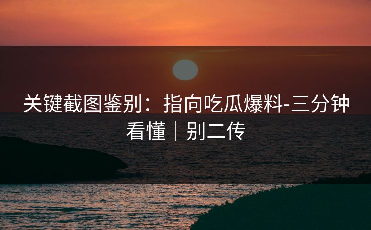 关键截图鉴别：指向吃瓜爆料-三分钟看懂｜别二传
